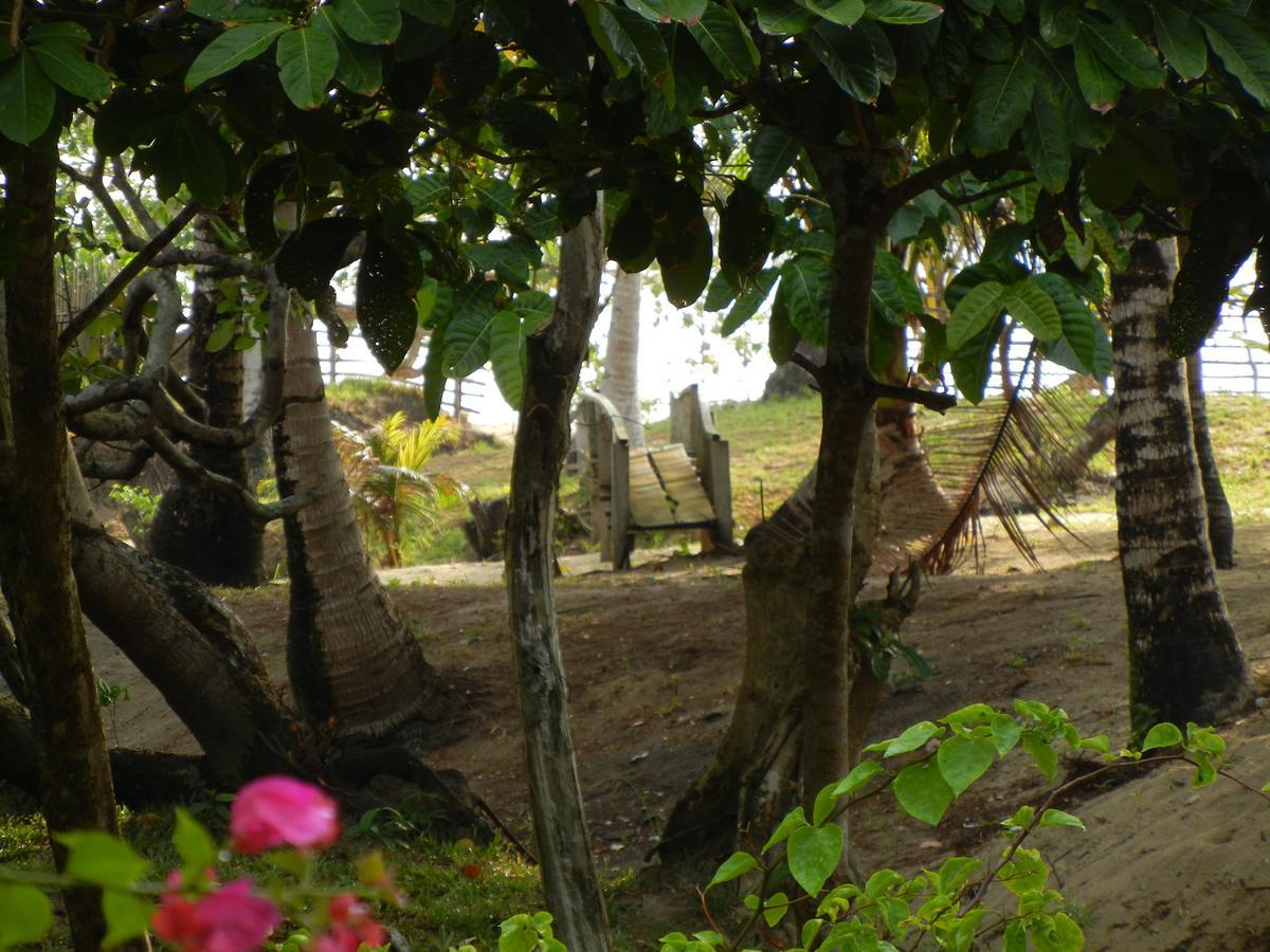 Playa Encantada Beach Resort Эль-Нидо Экстерьер фото